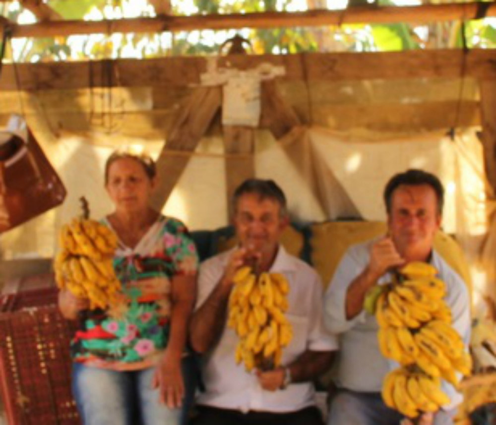 Os bananais que circundam a cidade são inspiração para o 'Festival de Santana (Divulgação/SEC)