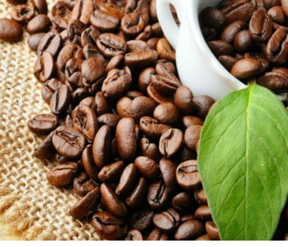Entre outros objetivos, a SIC tem como foco o desenvolvimento do mercado brasileiro e a divulgação da qualidade dos cafés nacionais (Divulgação/Seapa)