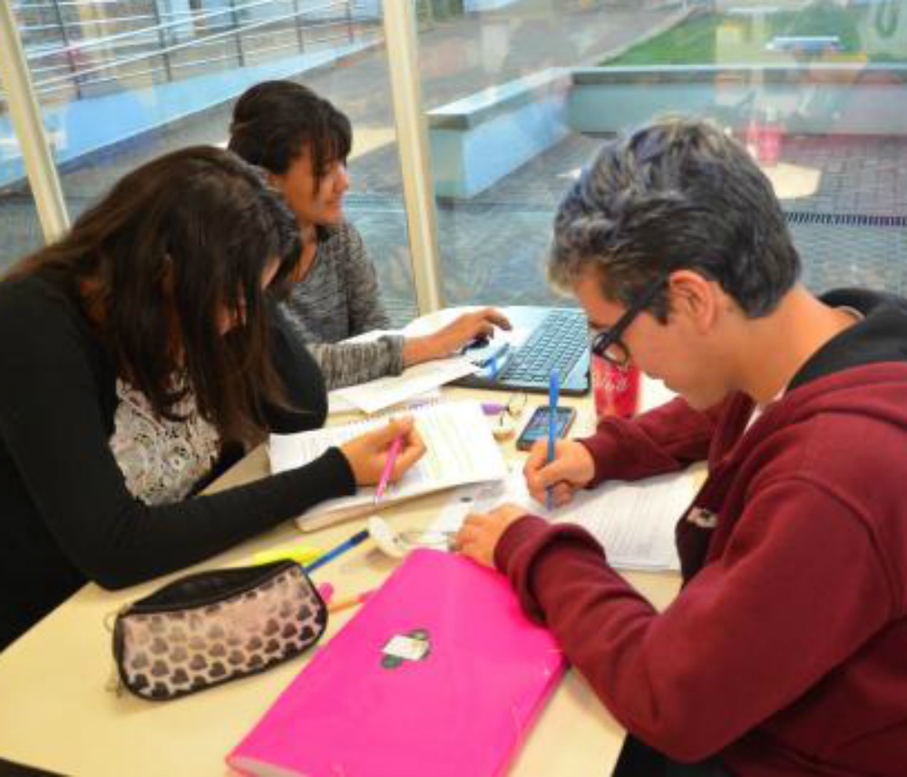 Atividades auxiliará estudantes no planejamentos de estudos (Foto:  Divulgação/Milton Santos)