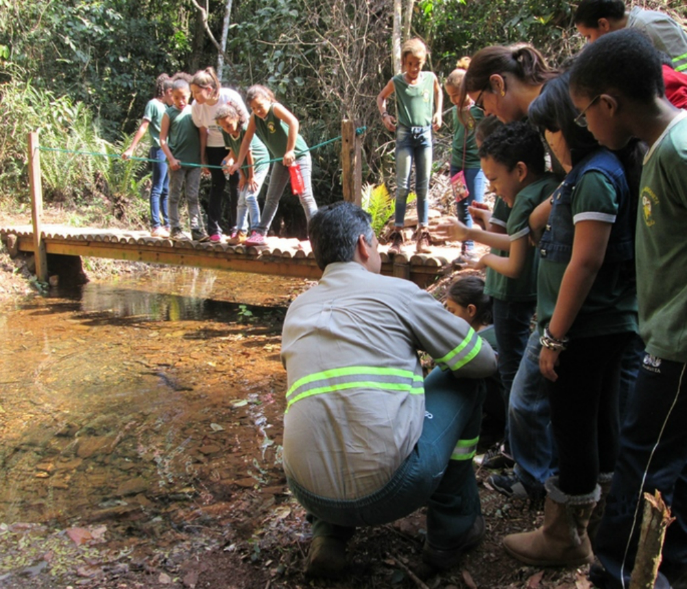 A Subestação Taquaril da Cemig possui área de preservação ambiental, onde as crianças conhecem o ecossistema local (Crédito: Arquivo/Cemig)