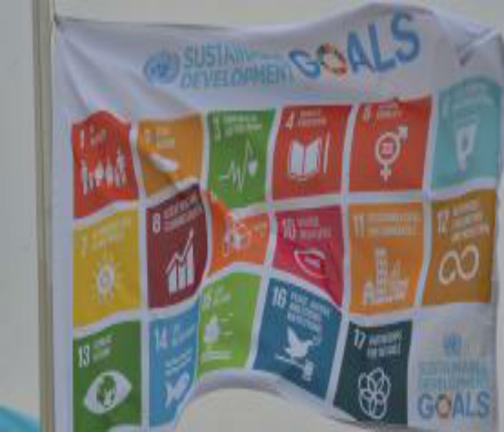 Bandeira mostra os Objetivos de Desenvolvimento Sustentável  (Antonio Cruz/Arquivo/Agência Brasil)