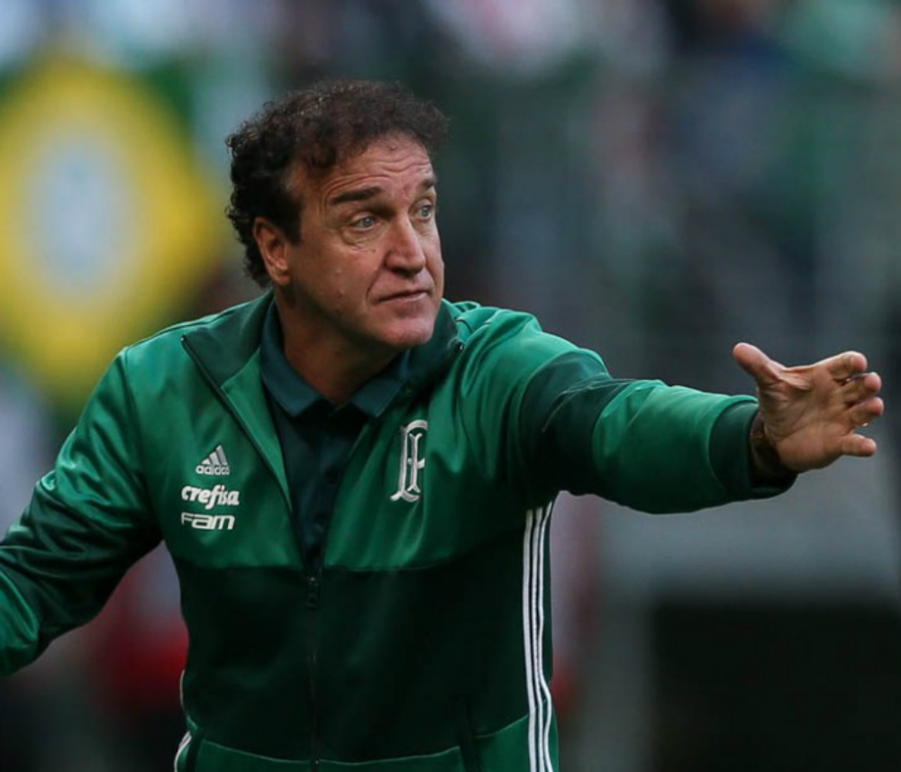 Técnico Palmeiras