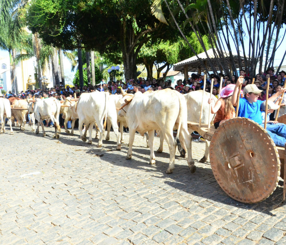 Desfile em Crucilândia (Foto: Divulgação/Agência Minas)